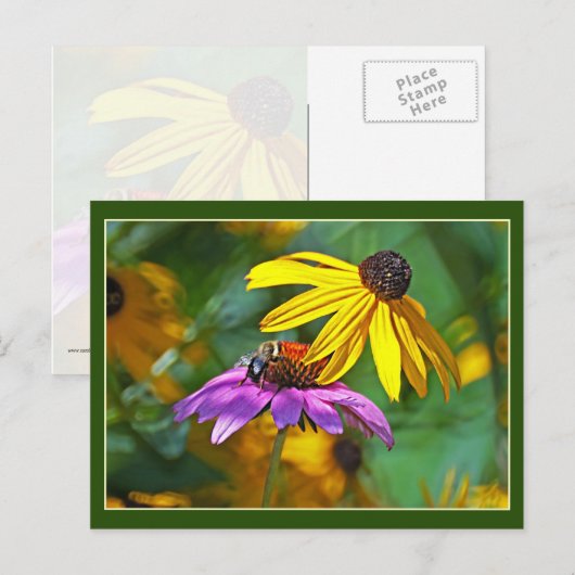 蜂と花 ポストカード (正面/裏面)