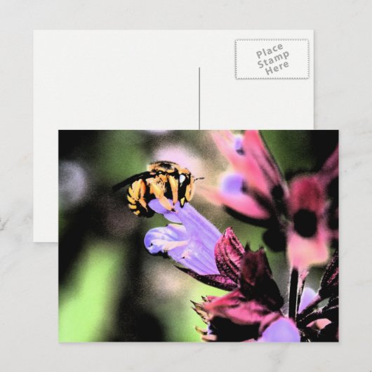 蜂と花pccna ポストカード (正面/裏面)