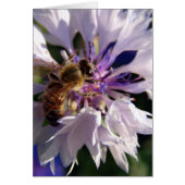 蜂と青の花 (正面)