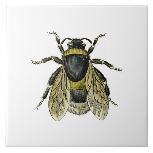 蜂のアンティークのイラストレーション タイル (正面)