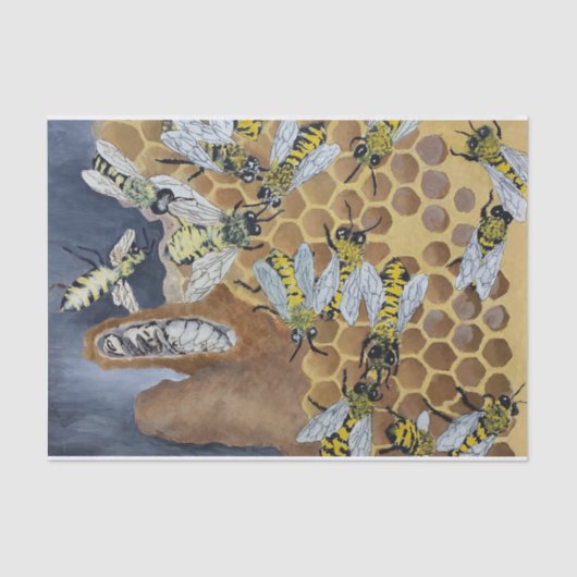 蜂のティッシュペーパー 薄葉紙 (正面)