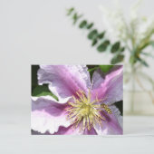 蜂の付いたエキゾチック花 ポストカード (スタンド正面)