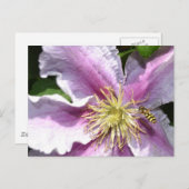 蜂の付いたエキゾチック花 ポストカード (正面/裏面)