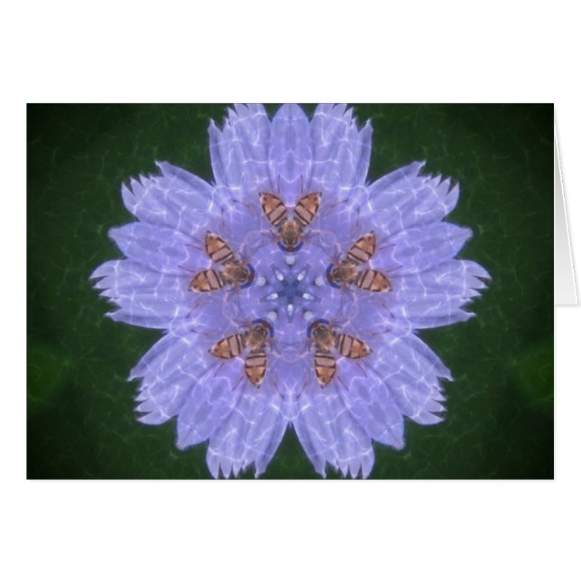 蜂の付いた野草 (正面横)