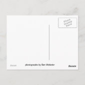 蜂の印Sunnyside、ワシントン州 ポストカード (裏面)