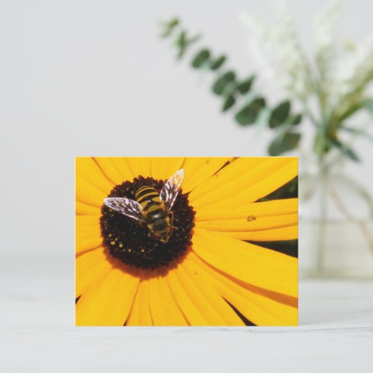 蜂の命 ポストカード (スタンド正面)