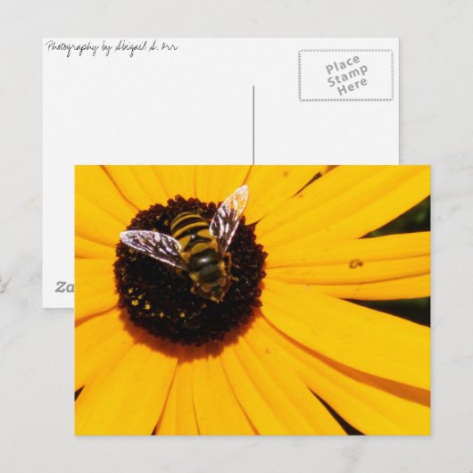 蜂の命 ポストカード (正面/裏面)