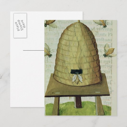 蜂の巣と蜂 ポストカード (正面/裏面)