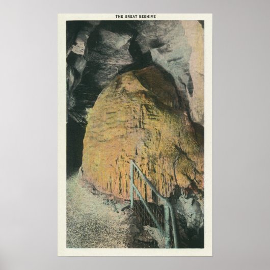 蜂の巣の素晴らし表示 ポスター (正面)