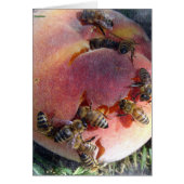 蜂の巣を作る (正面)