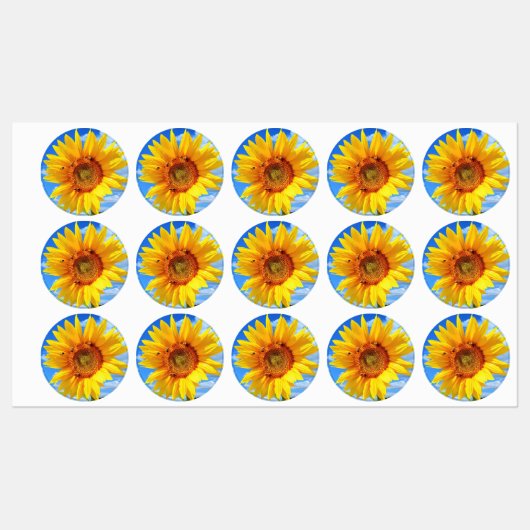 蜂の巣付きヒマワリ ラベル (シート)