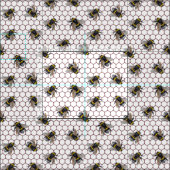 蜂の巣白。ハチミツ（昆虫）マルハナバチ虫。養蜂家 ファブリック (タイル)