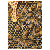 蜂の巣箱とハニカムアップを閉じる クリップボード (裏面)