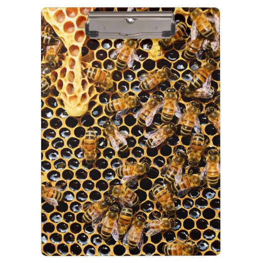 蜂の巣箱とハニカムアップを閉じる クリップボード (正面)