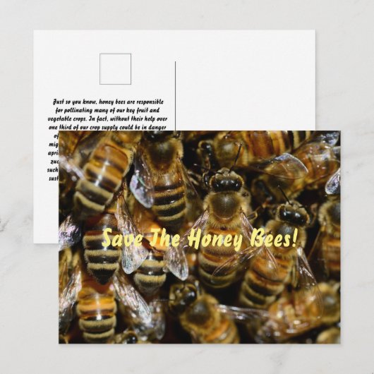 蜂の巣箱 ポストカード (正面/裏面)