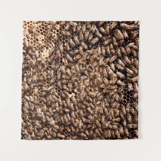 蜂の巣 タペストリー (正面)