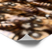 蜂の巣 ポスター (角)