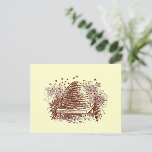 蜂の巣 ポストカード (スタンド正面)