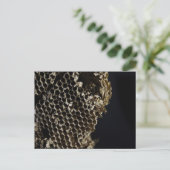 蜂の巣 ポストカード (スタンド正面)