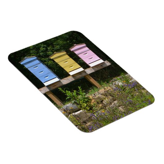 蜂の巣 マグネット (右側)