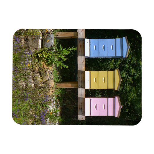 蜂の巣 マグネット (横)