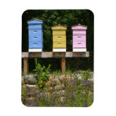 蜂の巣 マグネット (縦)