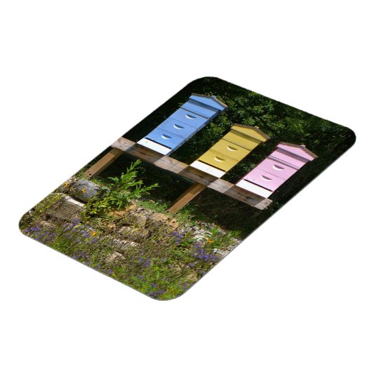 蜂の巣 マグネット (左側)