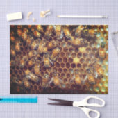 蜂の巣 薄葉紙 (クラフト)