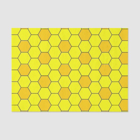 蜂の巣 薄葉紙 (正面)