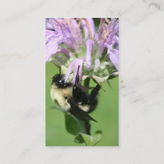 蜂の巣・蜂の自然撮影名刺 名刺 (裏面)