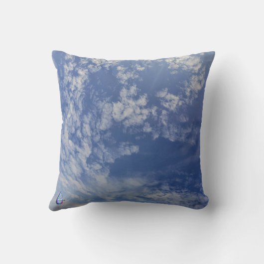 蜂の枕をバズ クッション (裏面)