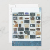 蜂の樹脂キャスト ポストカード (正面/裏面)