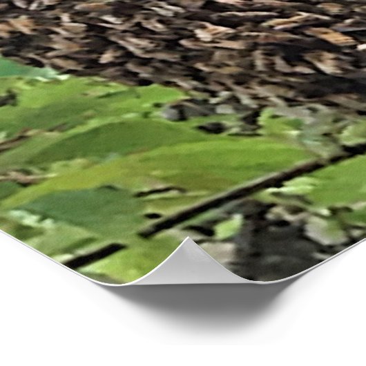 蜂の群れ ポスター (角)