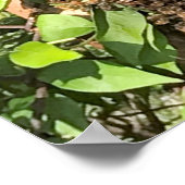 蜂の群れ ポスター (角)