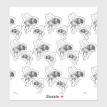 蜂の膝を白黒で表示する