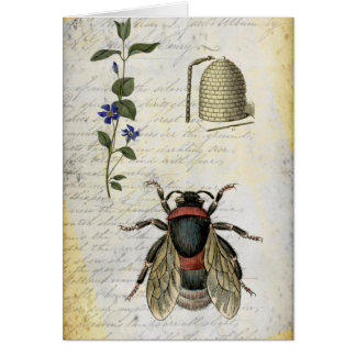 蜂の花のはちの巣