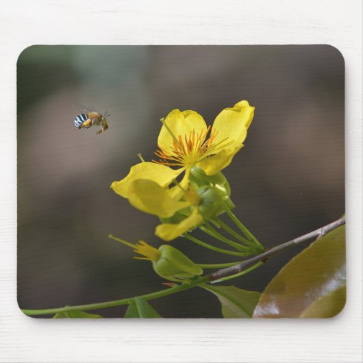 蜂の花 マウスパッド (正面)
