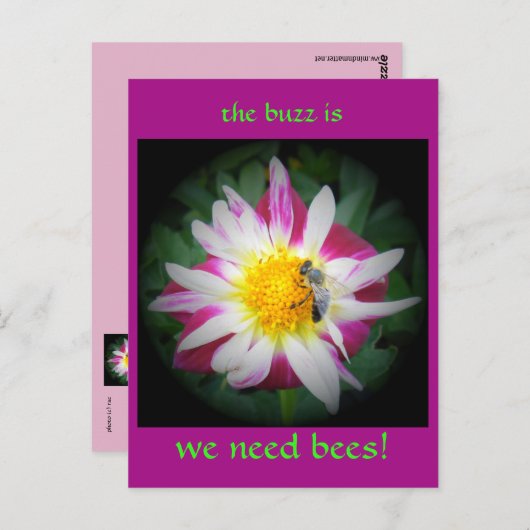 蜂の音 ポストカード (正面/裏面)