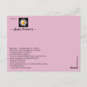 蜂の音 ポストカード (裏面)