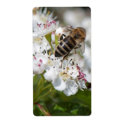 蜂は花粉を集める ラベル (正面)