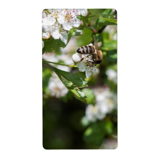 蜂は花粉を集める ラベル (正面)