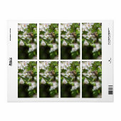 蜂は花粉を集める ラベル (フルシート)