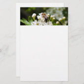 蜂は花粉を集める 便箋 (正面/裏面)