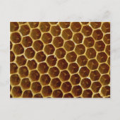蜂ろう櫛 ポストカード (正面)