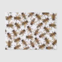 蜂を救って下さい! 世界を救って下さい! デザインは住んでいます