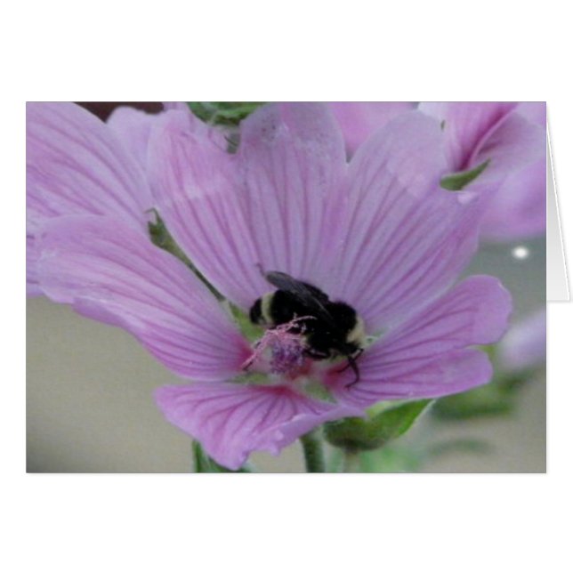 蜂カード付き薄紫色の花 (正面横)