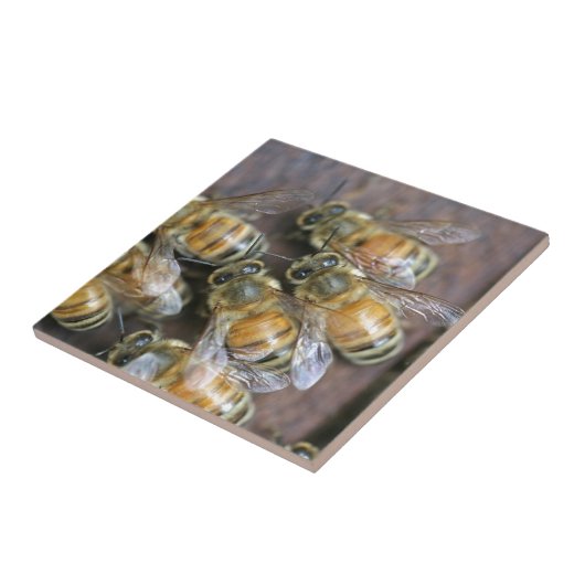 蜂忙し蜜 タイル (側面)