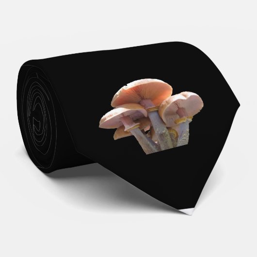 蜂蜜きのこのタイ ネクタイ (ロール)