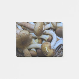 蜂蜜きのこ、ApiataのArmillaria、opyenok ポストイット