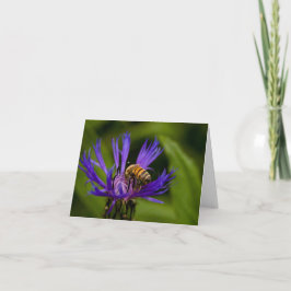 蜂蜜のように優しい挨拶 カード